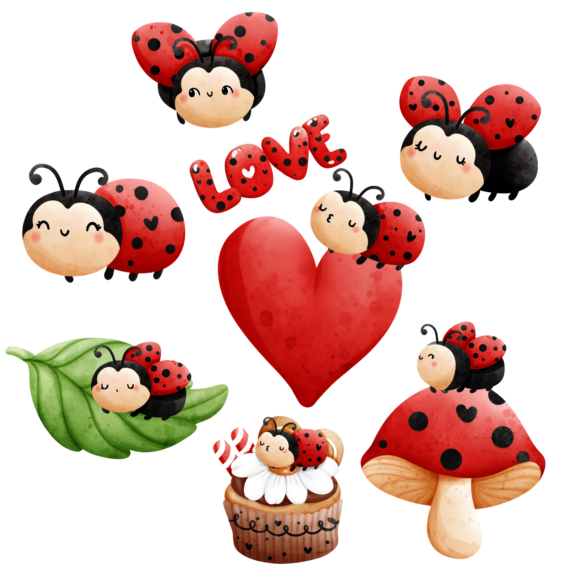 Lienky